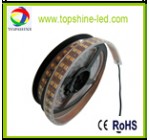 TS-LR5050-PW-144-IP65-FV